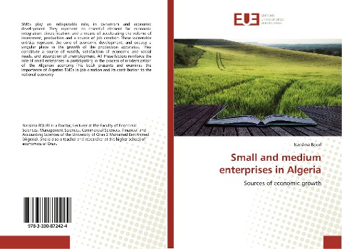 Small and medium enterprises in Algeria: Sources of economic growth