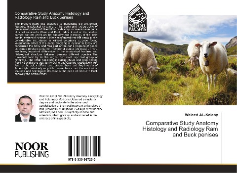 Comparative Study Anatomy Histology and Radiology Ram and Buck penises