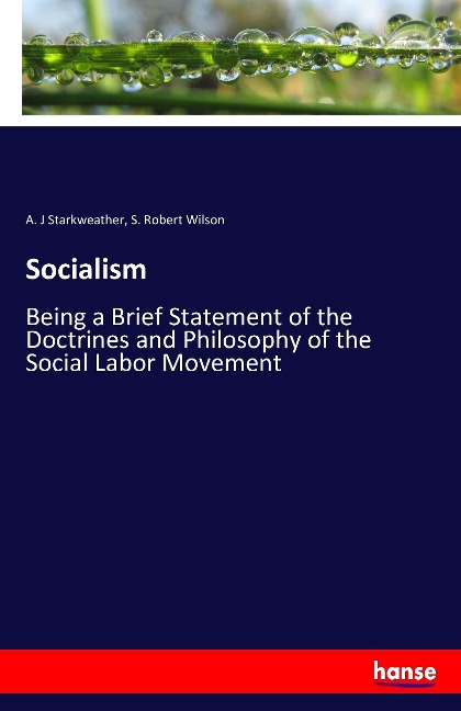 Socialism: Being a Brief Statement of the Doctrines and Philosophy of the Social Labor Movement