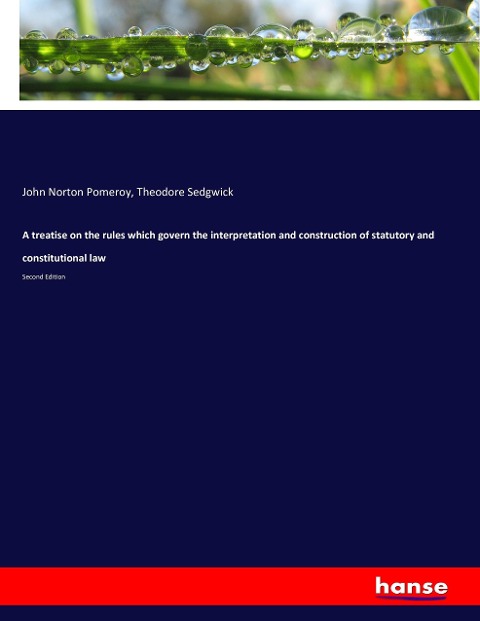 A treatise on the rules which govern the interpretation and construction of statutory and constitutional law: Second Edition