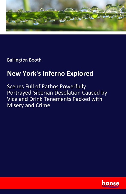 New Yorks Inferno Explored: Scenes Full of Pathos Powerfully Portrayed-Siberian Desolation Caused by Vice and Drink Tenements Packed with Misery and Crime