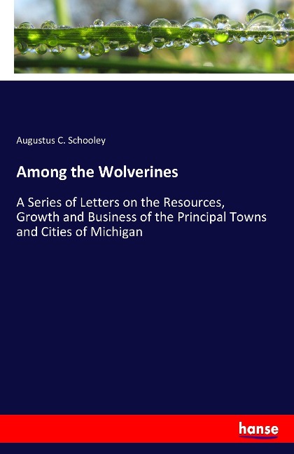 Among the Wolverines: A Series of Letters on the Resources, Growth and Business of the Principal Towns and Cities of Michigan
