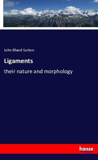 Ligaments: their nature and morphology