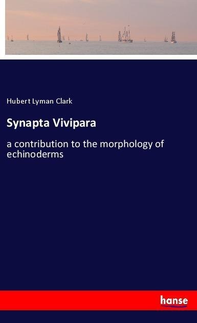 Synapta Vivipara: a contribution to the morphology of echinoderms