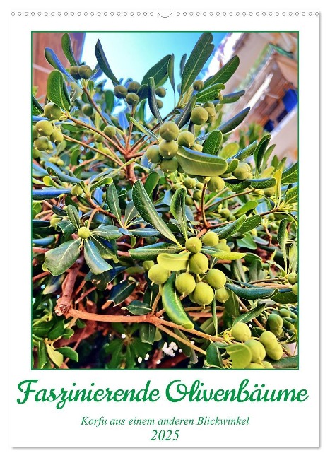 Grasses of the Southwest: Vol. 1