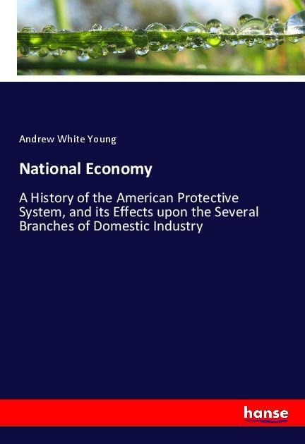 National Economy: A History of the American Protective System, and its Effects upon the Several Branches of Domestic Industry