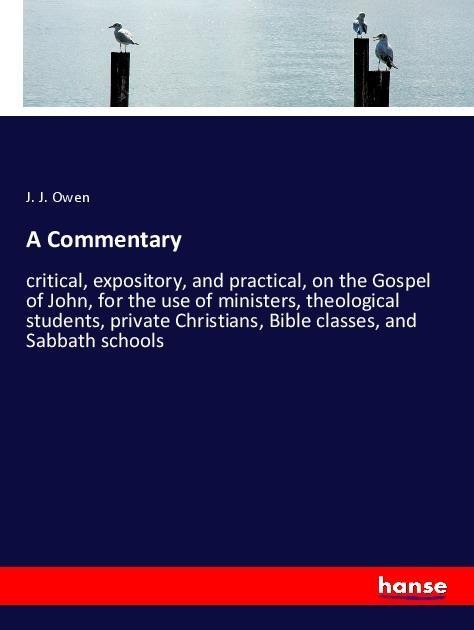 A Commentary: critical, expository, and practical, on the Gospel of John, for the use of ministers, theological students, private Christians, Bible classes, and Sabbath schools
