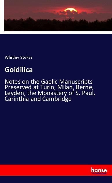 Goidilica: Notes on the Gaelic Manuscripts Preserved at Turin, Milan, Berne, Leyden, the Monastery of S. Paul, Carinthia and Cambridge