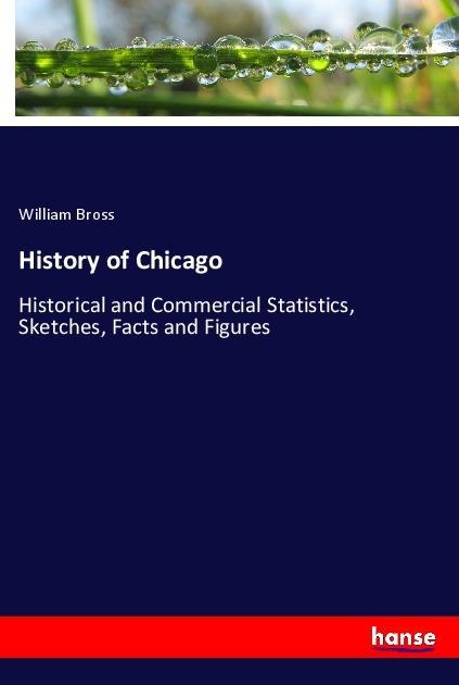 History of Chicago: Historical and Commercial Statistics, Sketches, Facts and Figures