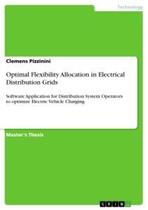Optimal Flexibility Allocation in Electrical Distribution Grids: Software Application for Distribution System Operators to optimize Electric Vehicle Charging