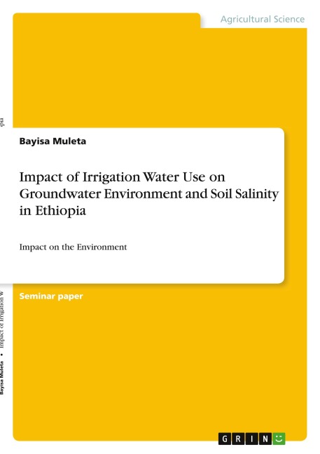 Impact of Irrigation Water Use on Groundwater Environment and Soil Salinity in Ethiopia: Impact on the Environment