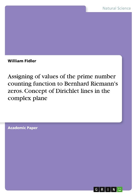 Assigning of values of the prime number counting function to Bernhard Riemanns zeros. Concept of Dirichlet lines in the complex plane