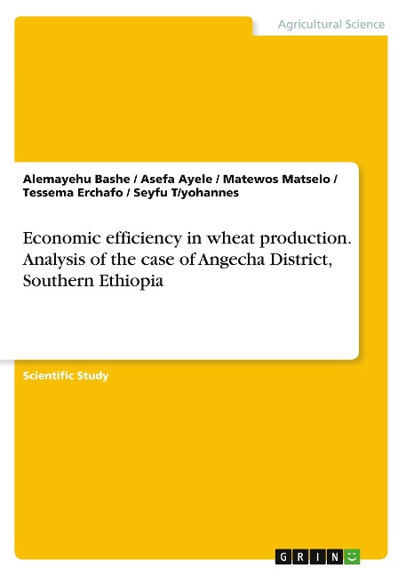 Economic efficiency in wheat production. Analysis of the case of Angecha District, Southern Ethiopia