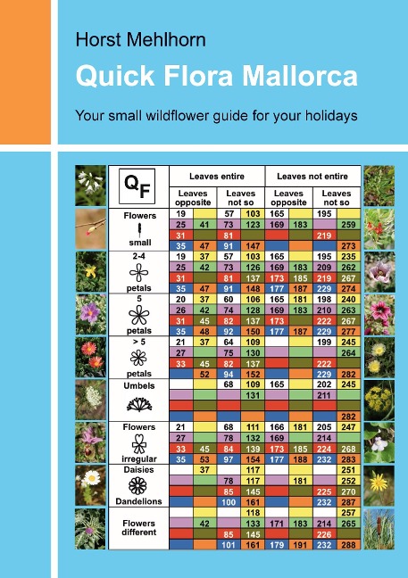 Quick Flora Mallorca: Your small wildflower guide for your holidays