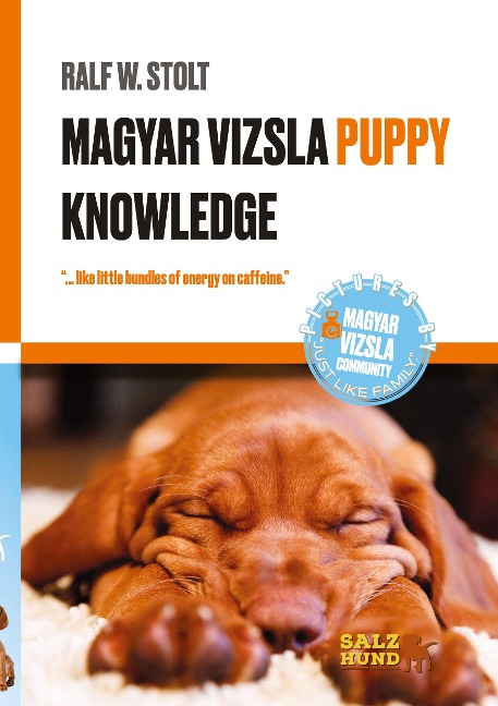 Magyar Vizsla  PUPPIES Knowledge: ...like little bundles of energy on caffeine.