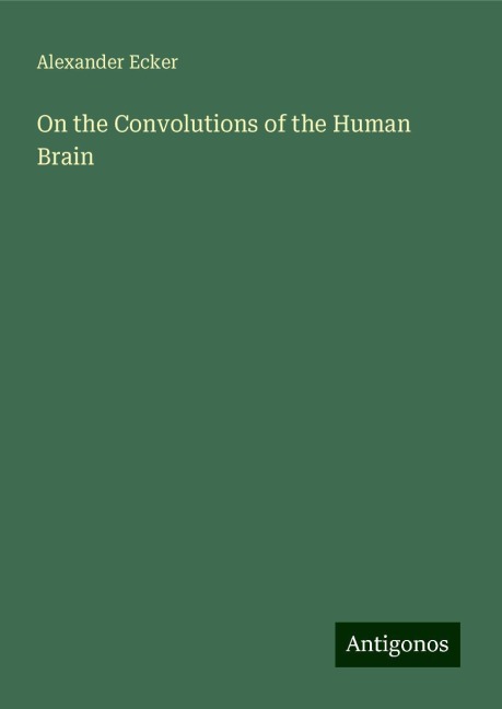 On the Convolutions of the Human Brain