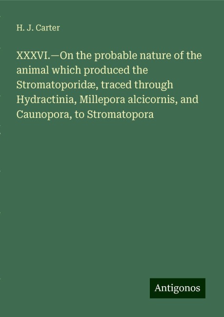 XXXVI.¿On the probable nature of the animal which produced the Stromatoporidæ, traced through Hydractinia, Millepora alcicornis, and Caunopora, to Stromatopora