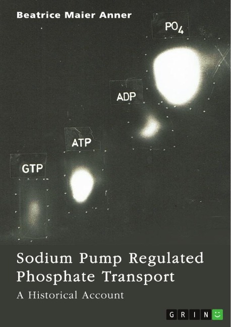 Sodium Pump Regulated Phosphate Transport: A Historical Account