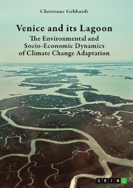Venice and its Lagoon. The Environmental and Socio-Economic Dynamics of Climate Change Adaptation: A Transformational Governance Model for Pathway Assessment and Creation