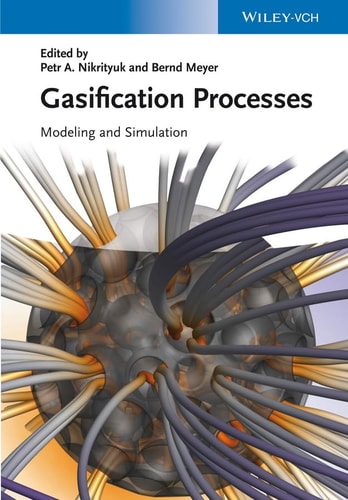 Gasification Processes Modeling and Simulation