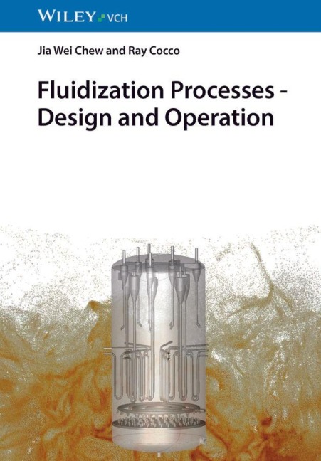 Fluidization Processes: Design and Operation