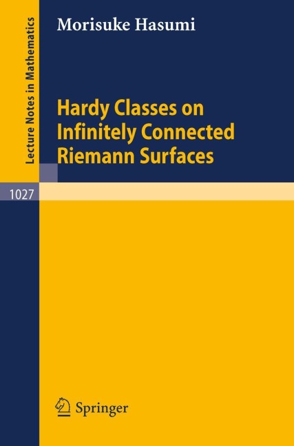Hardy Classes on Infinitely Connected Riemann Surfaces