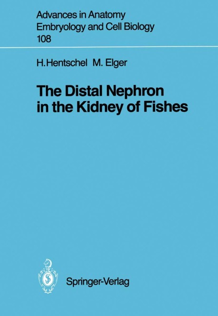 The Distal Nephron in the Kidney of Fishes