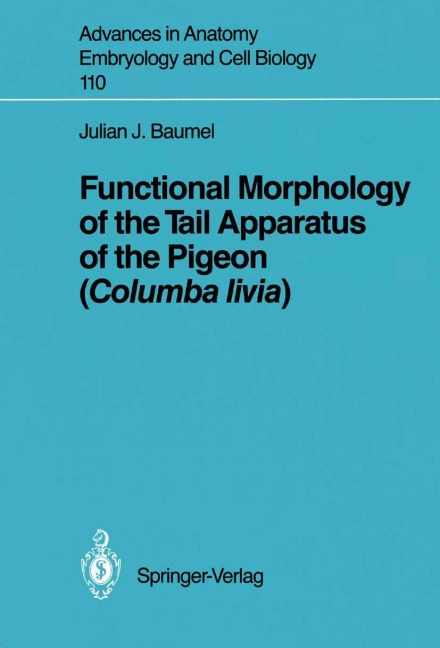 Functional Morphology of the Tail Apparatus of the Pigeon (Columba livia)