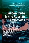 Carbon Cycle in the Russian Arctic Seas