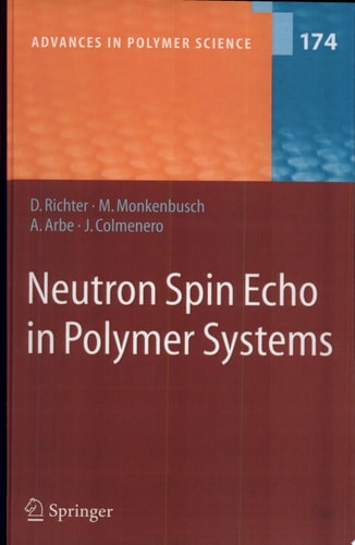 Neutron Spin Echo in Polymer Systems