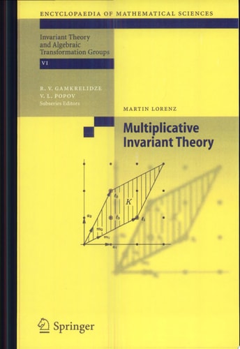Multiplicative Invariant Theory