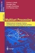 Multiset Processing: Mathematical, Computer Science, and Molecular Computing Points of View