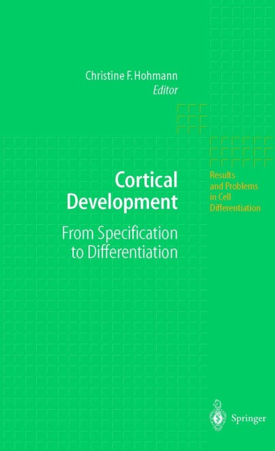 Cortical Development: From Specification to Differentiation