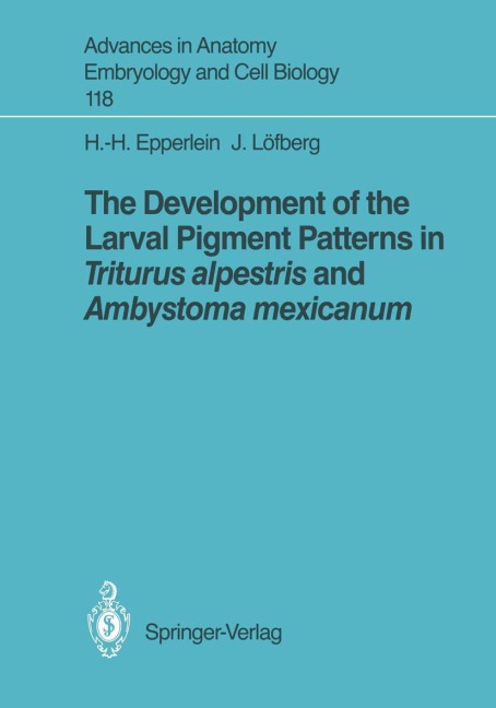 The Development of the Larval Pigment Patterns in Triturus alpestris and Ambystoma mexicanum