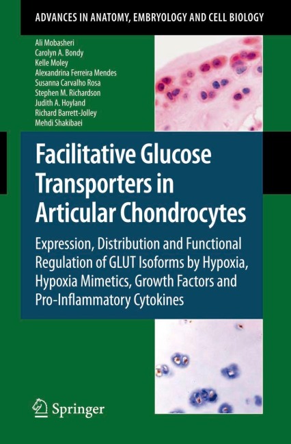 Facilitative Glucose Transporters in Articular Chondrocytes: Expression, Distribution and Functional Regulation of GLUT Isoforms by Hypoxia, Hypoxia Mimetics, Growth Factors and Pro-Inflammatory Cytokines