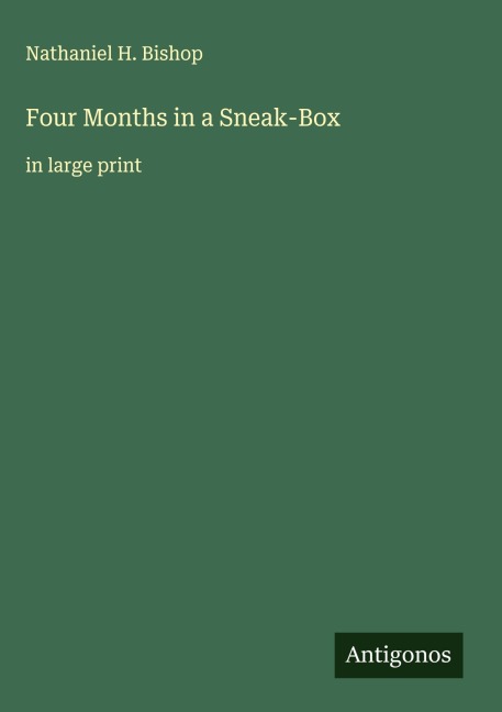Four Months in a Sneak-Box: in large print