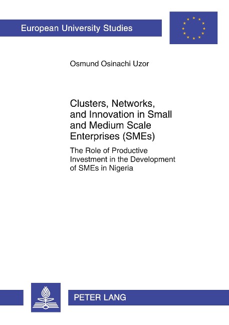 Clusters, Networks, and Innovation in Small and Medium Scale Enterprises (SMEs): The Role of Productive Investment in the Development of SMEs in Nigeria