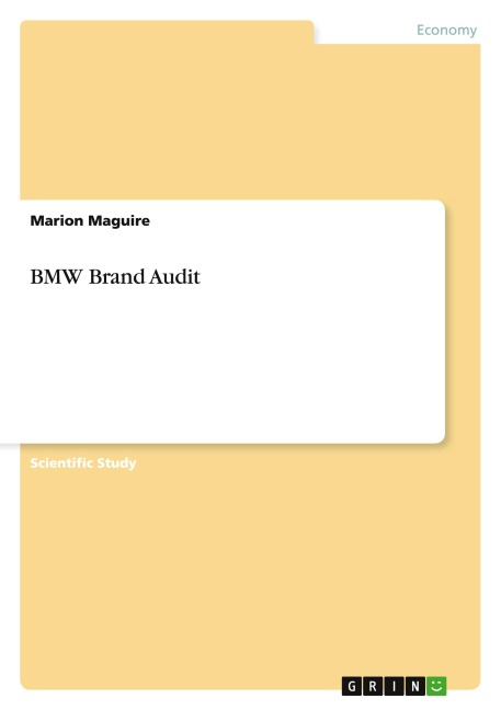 BMW Brand Audit