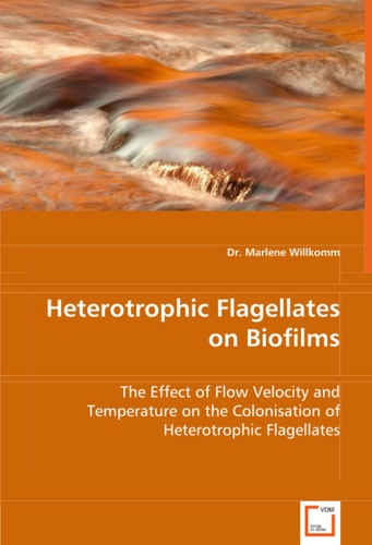 Heterotrophic Flagellates on Biofilms: The Effect of Flow Velocity and Temperature on the Colonisation of Heterotrophic Flagellates