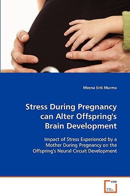 Stress During Pregnancy can Alter Offspring's Brain Development