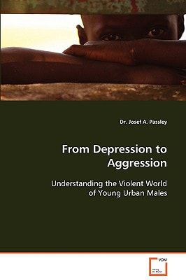 From Depression to Aggression:: Understanding the Violent World of Young Urban Males