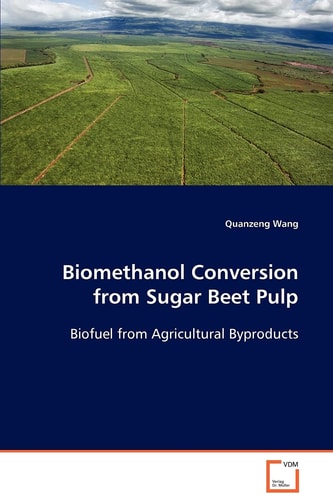 Biomethanol Conversion from Sugar Beet Pulp: Biofuel from Agricultural Byproducts