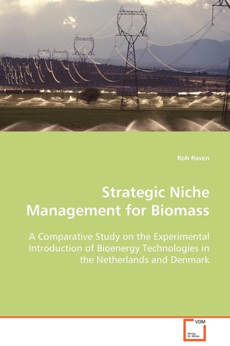 Strategic Niche Management for Biomass: A Comparative Study on the Experimental Introductionof Bioenergy Technologies in the Netherlands and Denmark (Eindhoven Centre for Innovation Studies)