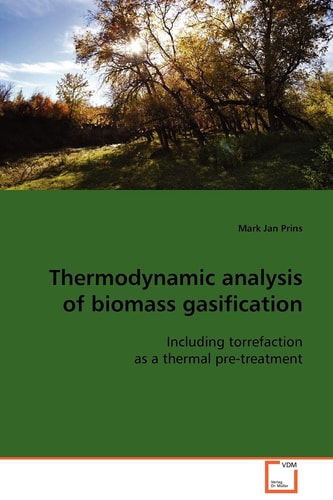 Thermodynamic analysis of biomass gasification: Including torrefaction as a thermal pre-treatment