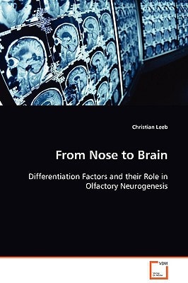 From Nose to Brain: Differentiation Factors and their Role in Olfactory Neurogenesis