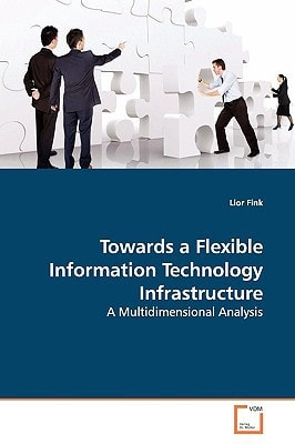 Towards a Flexible Information Technology Infrastructure: A Multidimensional Analysis