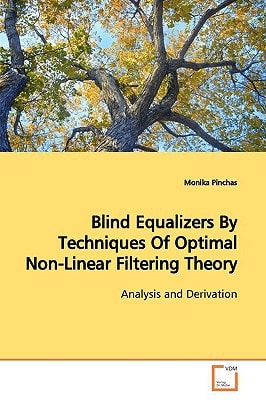 Blind Equalizers By Techniques Of Optimal Non-Linear Filtering Theory: Analysis and Derivation