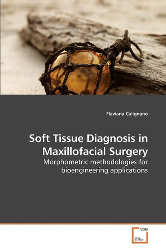 Soft Tissue Diagnosis in Maxillofacial Surgery: Morphometric methodologies for bioengineering applications