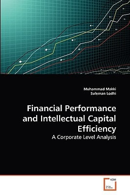 Financial Performance and Intellectual Capital Efficiency: A Corporate Level Analysis