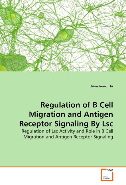 Regulation of B Cell Migration and Antigen Receptor Signaling By Lsc: Regulation of Lsc Activity and Role in B Cell Migration and Antigen Receptor Signaling